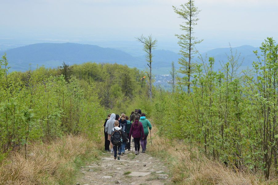 DSC_2000 (11)