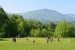 DSC_2000 (29)